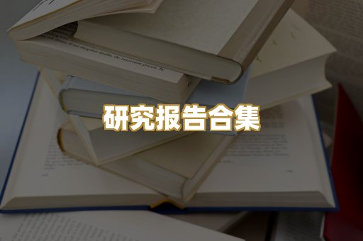 研究报告合集